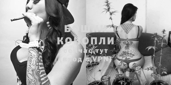 СК Балахна