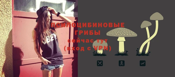 СК Балахна
